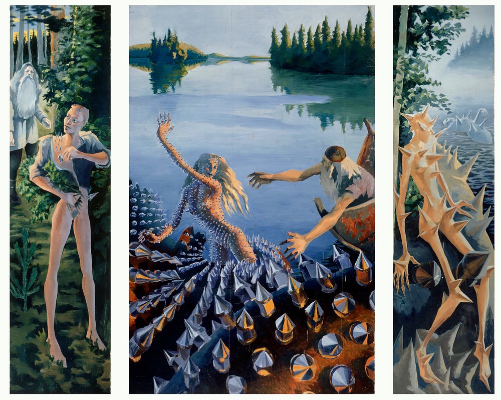 自然写真家 ハンヌハウタラ 写真集 Nature in the Kalevala 自然写真家 ハンヌハウタラ 写真集 Nature in the Kalevala 自然